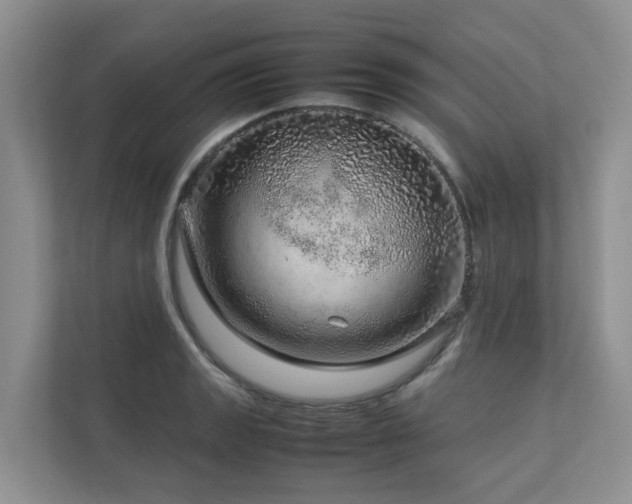 X0000112751133200908201412