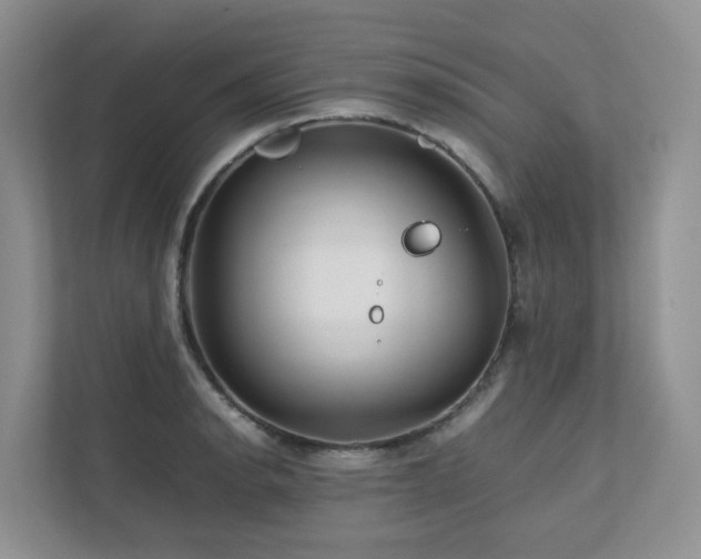 X0000112751134200908201412