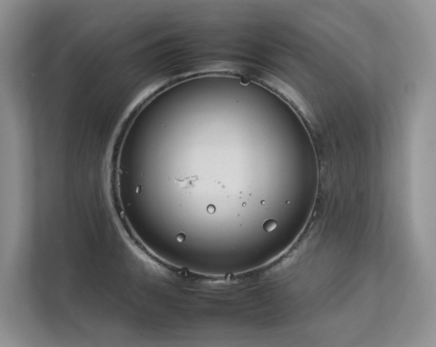 X0000112751135200908201412