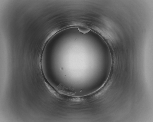 X0000112751137200908201412