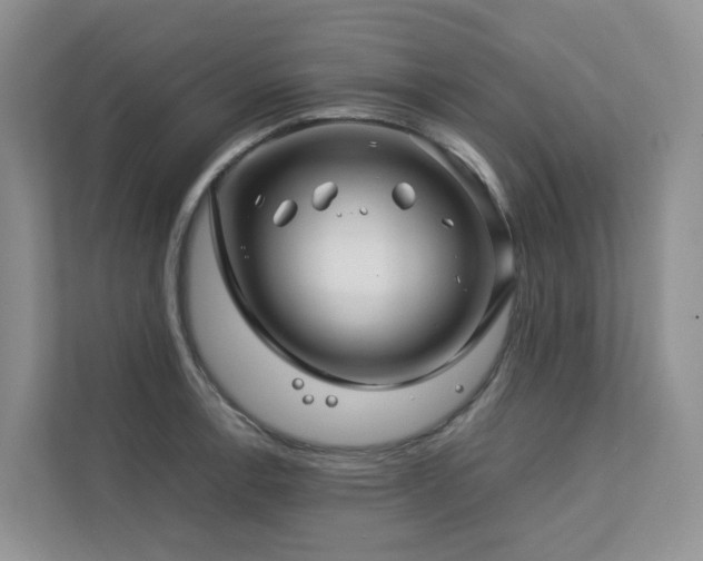X0000112751138200908201412