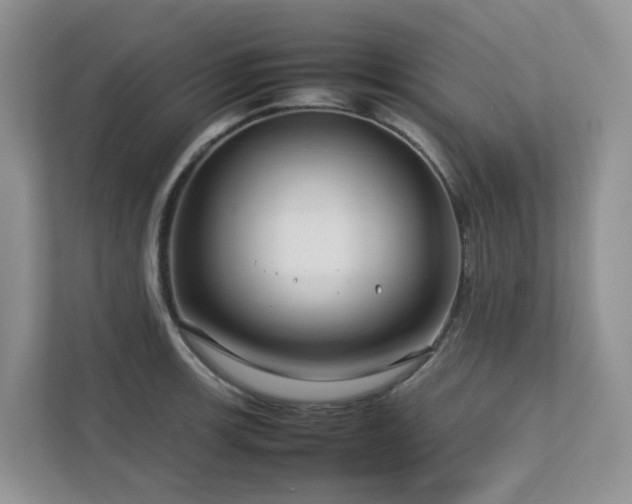 X0000112751139200908201412