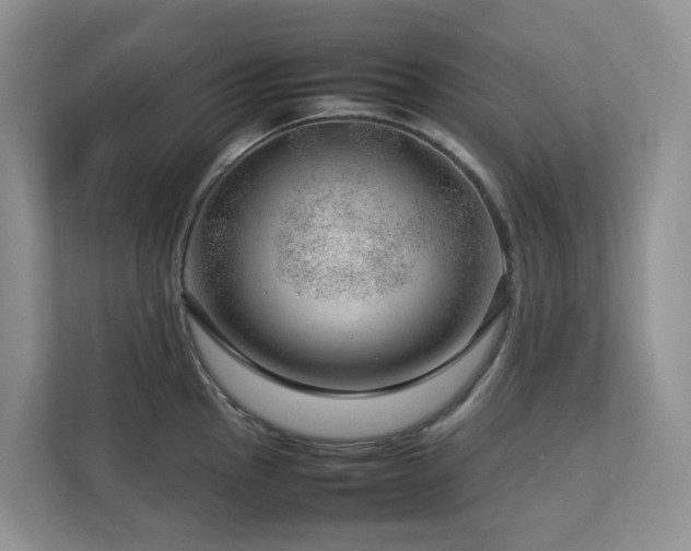 X0000112751145200908201412