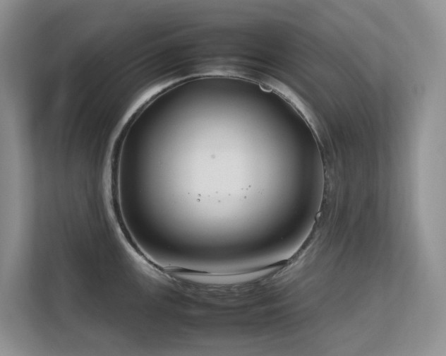 X0000112751147200908201412