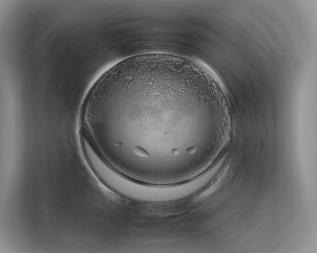 X0000112751149200908201412