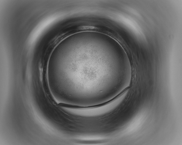 X0000112751151200908201412