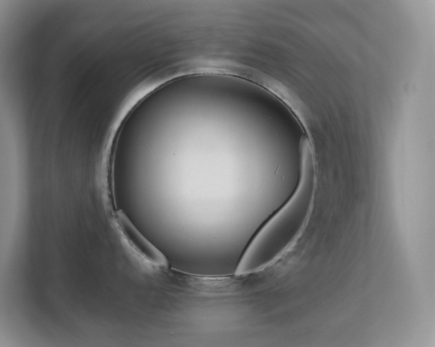 X0000112751152200908201412