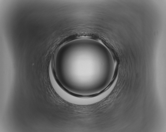 X0000112751153200908201411