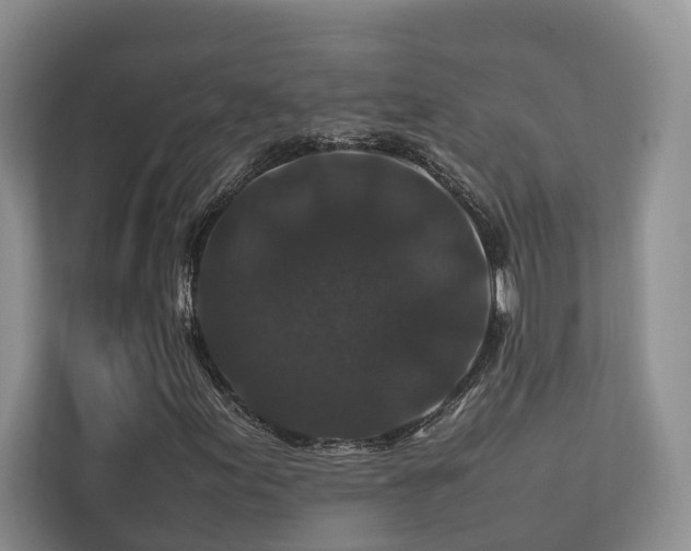 X0000112751155200908201411