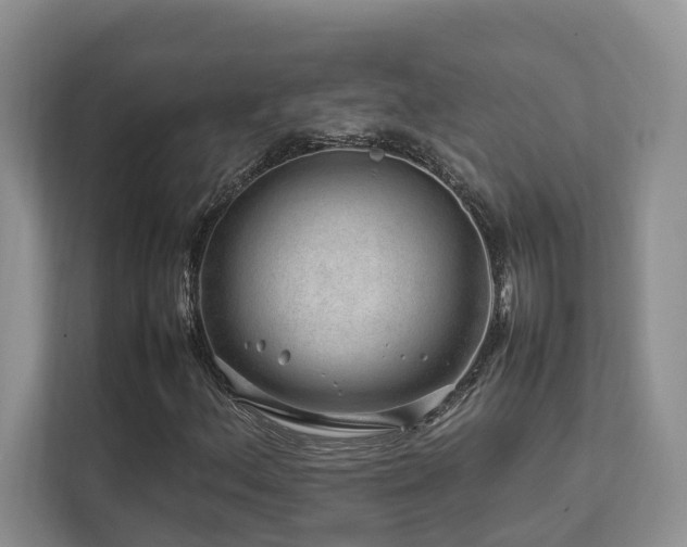 X0000112751156200908201411