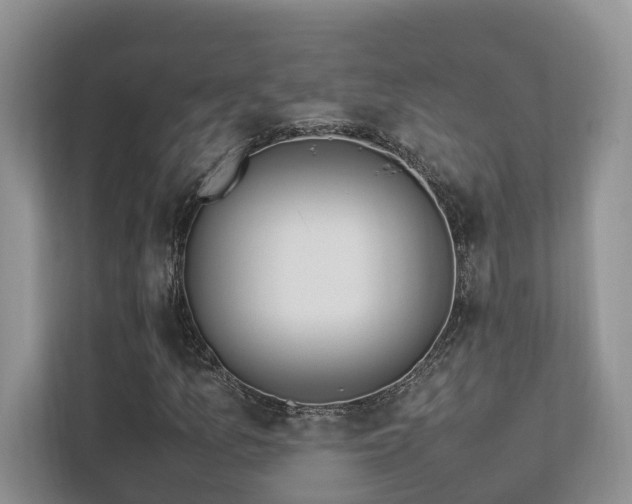 X0000112751157200908201411