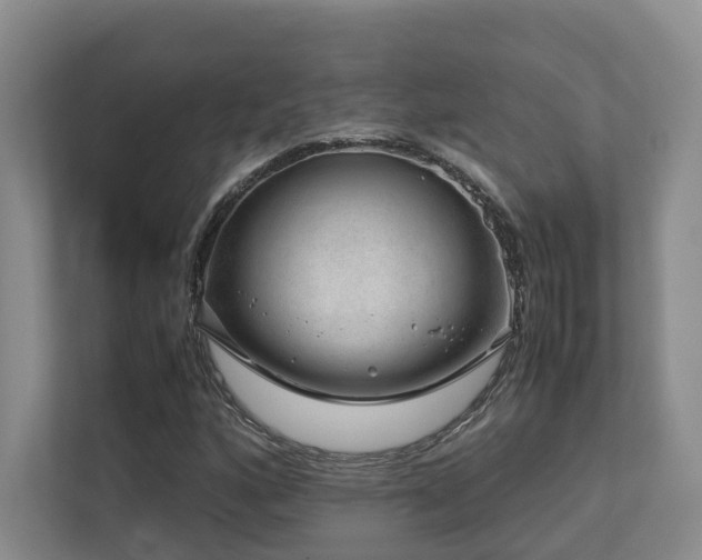 X0000112751160200908201411