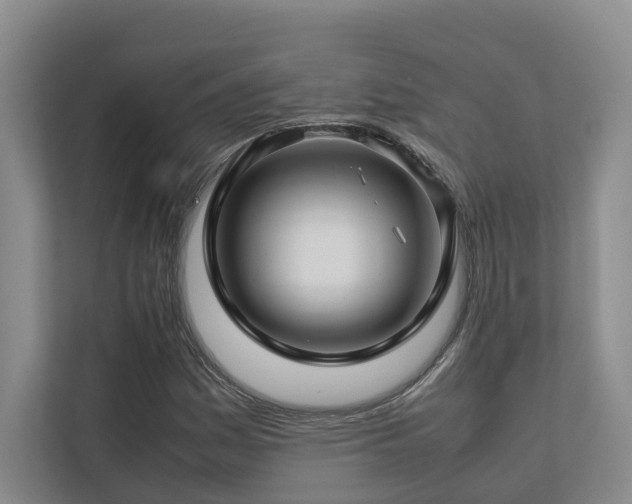 X0000112751161200908201411