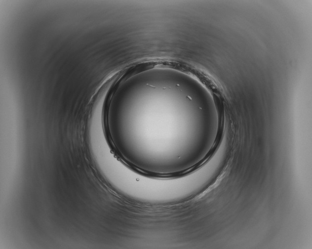 X0000112751162200908201411