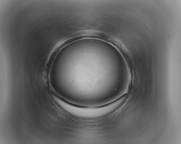 X0000112751164200908201411
