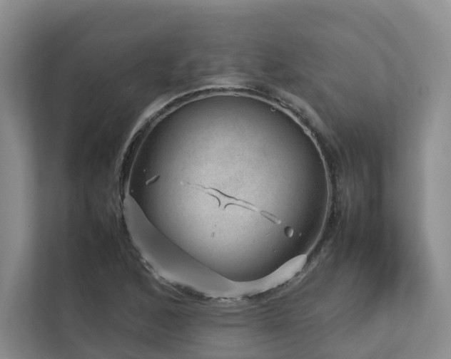 X0000112751168200908201411