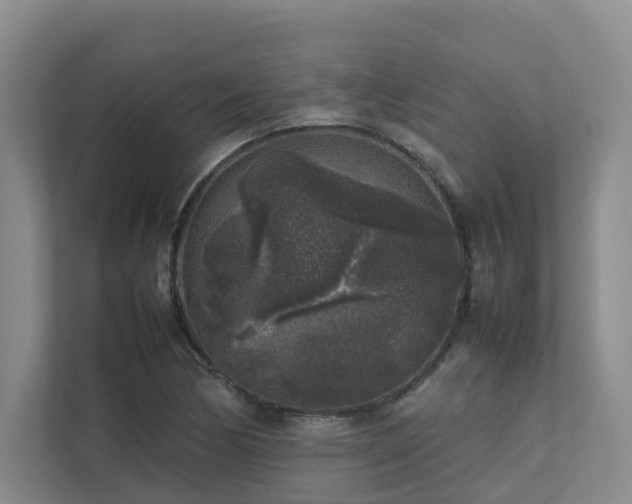 X0000112751170200908201411