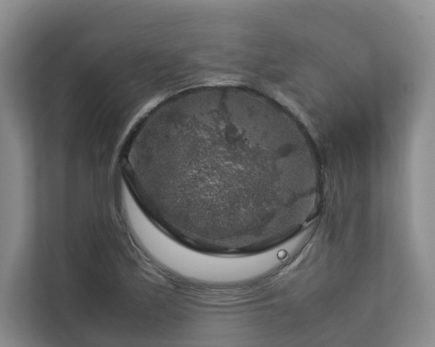 X0000112751171200908201411