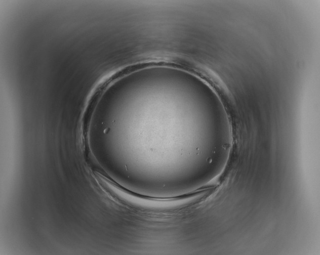 X0000112751172200908201411