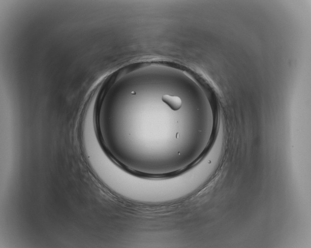 X0000112751173200908201411