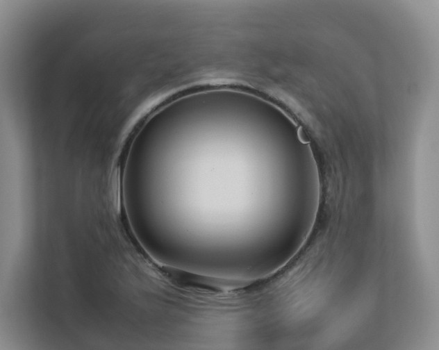 X0000112751175200908201411