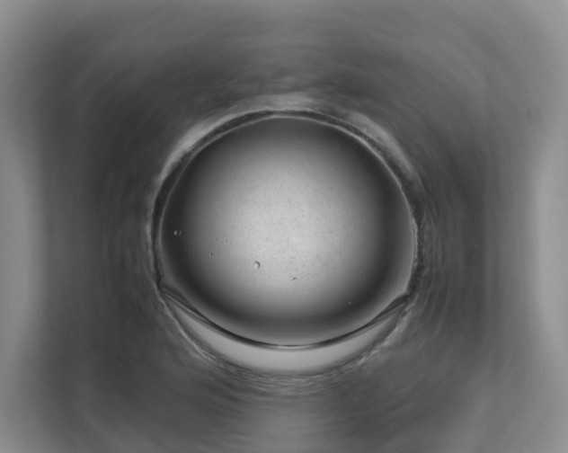 X0000112751176200908201411