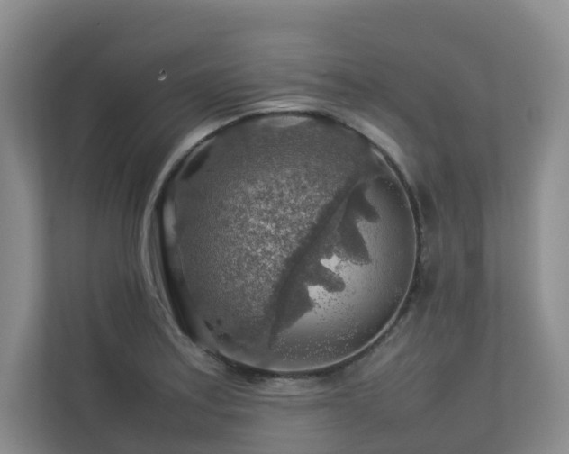 X0000112751179200908201411