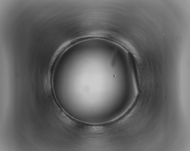 X0000112751180200908201411