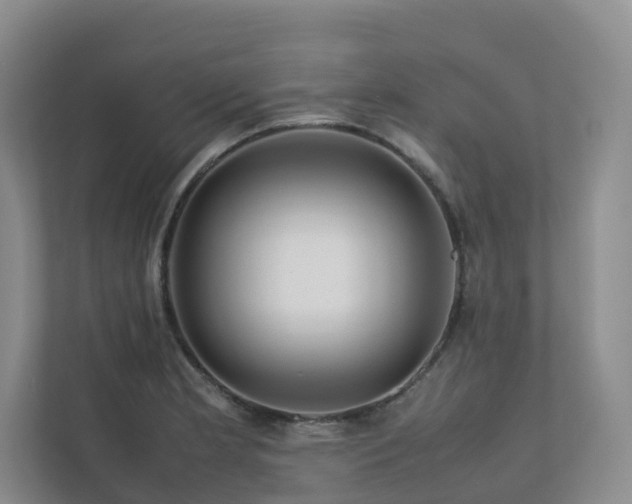 X0000112751181200908201411