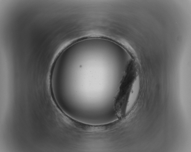 X0000112751183200908201411