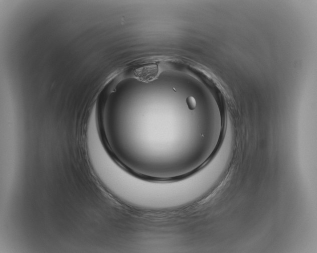 X0000112751185200908201411