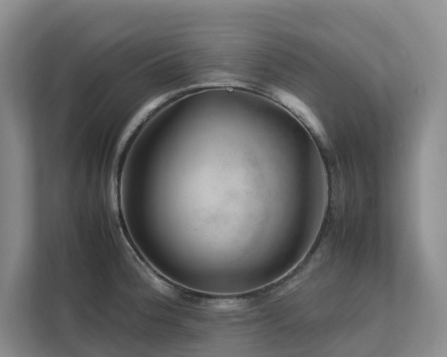 X0000112751188200908201411