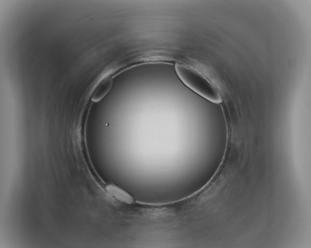 X0000112751189200908201411