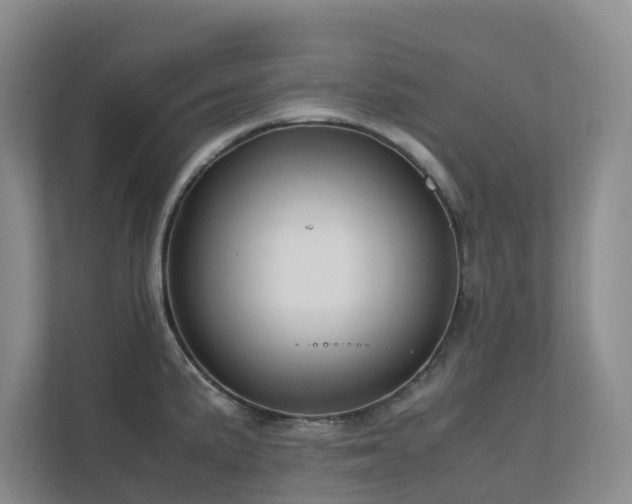 X0000112751191200908201411