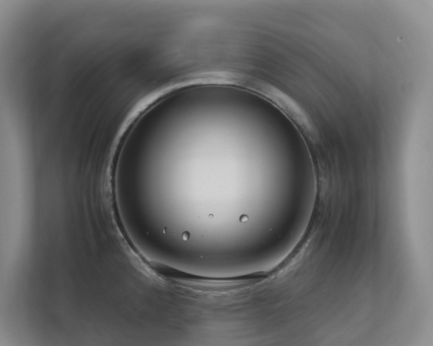 X0000112751192200908201411