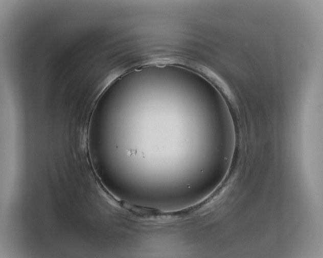 X0000112751193200908201411