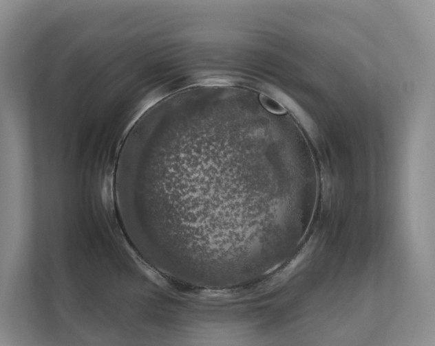 X0000112751194200908201411