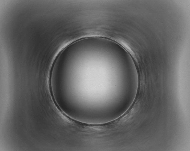 X0000112751197200908201411