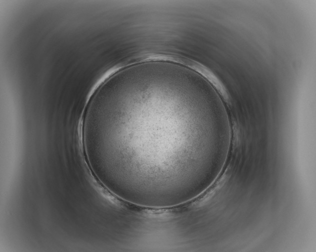 X0000112751198200908201411