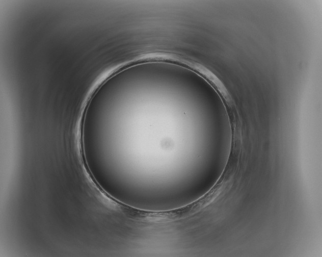 X0000112751199200908201411