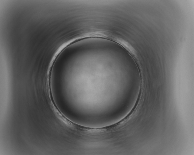 X0000112751200200908201411