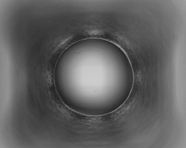 X0000112751205200908201410