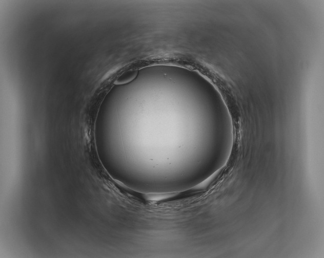 X0000112751206200908201410