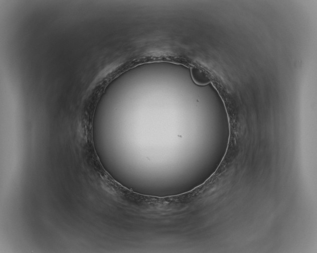 X0000112751207200908201410
