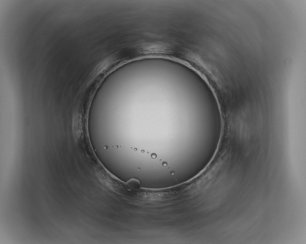 X0000112751211200908201410