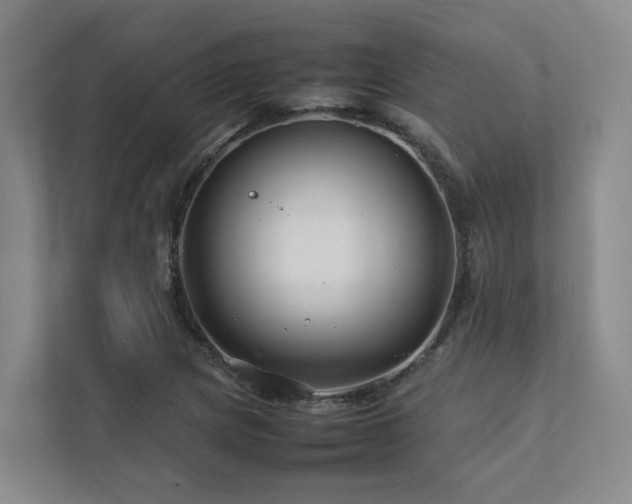 X0000112751217200908201410