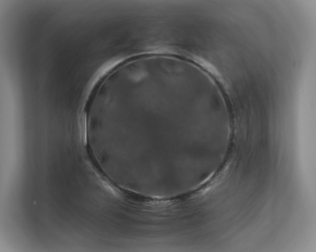 X0000112751223200908201410