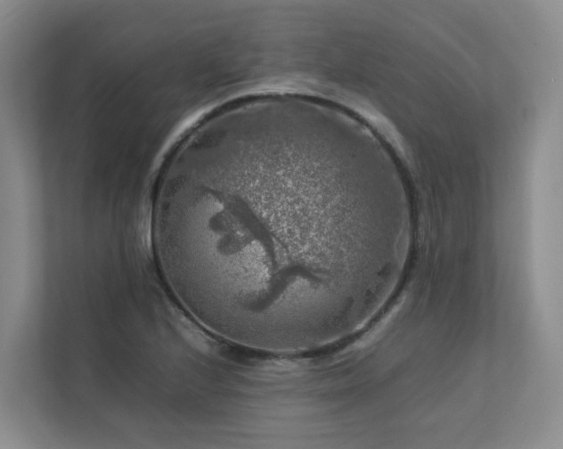 X0000112751224200908201410