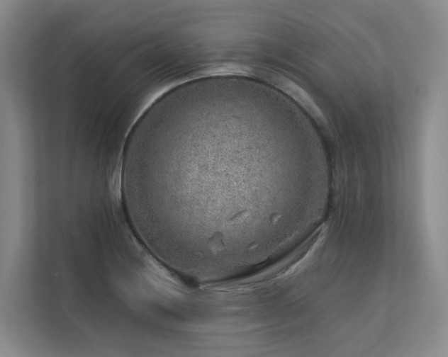 X0000112751228200908201410