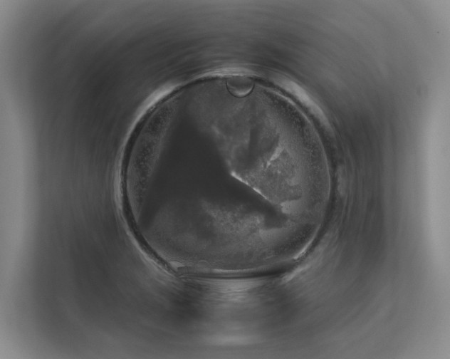 X0000112751229200908201410